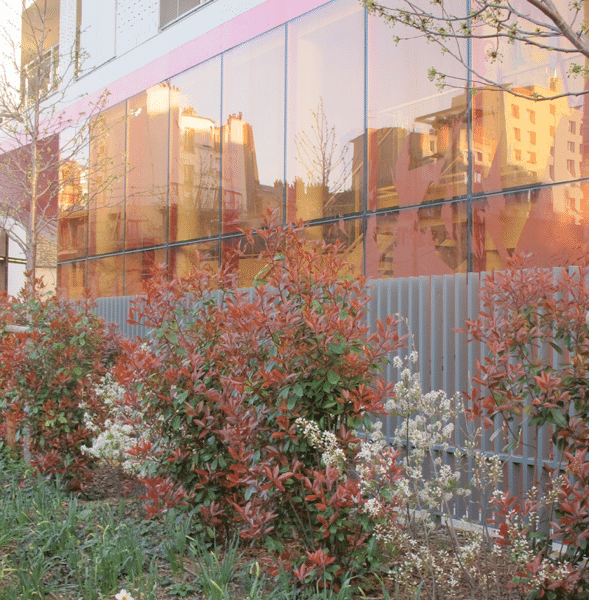 Fleurs devant la maison