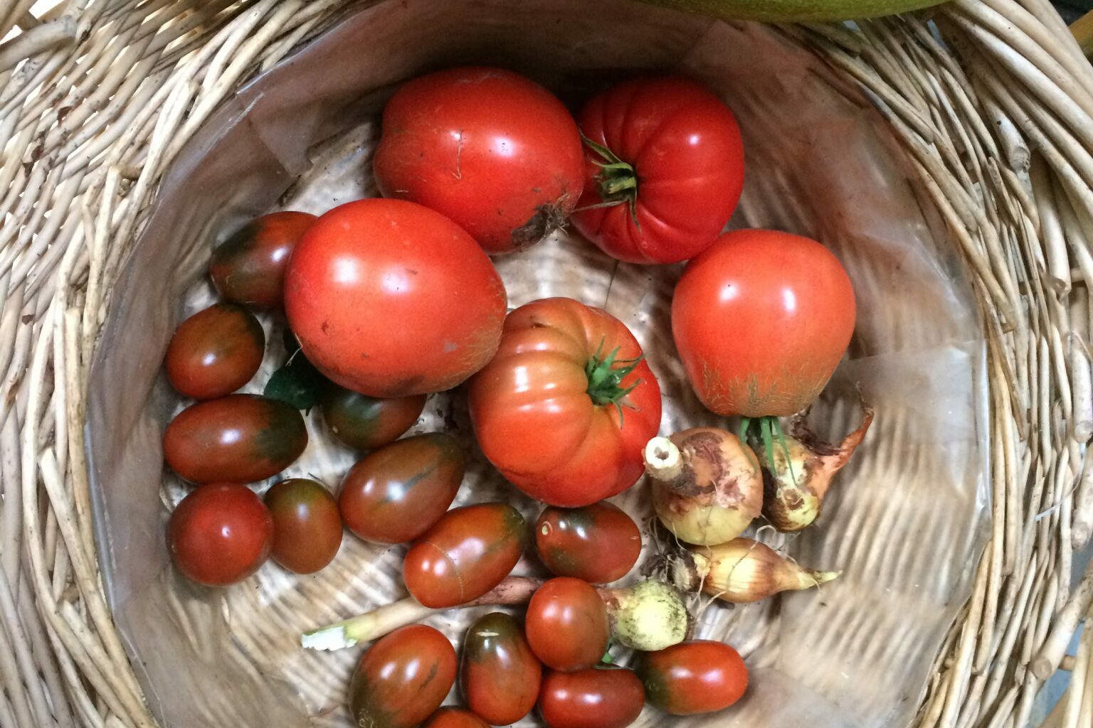 Panier de légumes