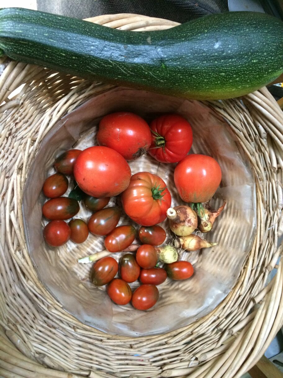 Panier de légumes